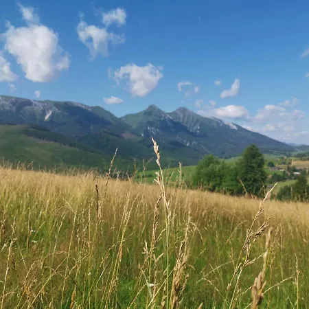 Stylovy Zrub Martina A S Kupacou Kadou A Detskym Ihriskom! * Ždiar
